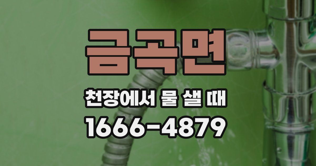 금곡면 천장에서 물 샐 때