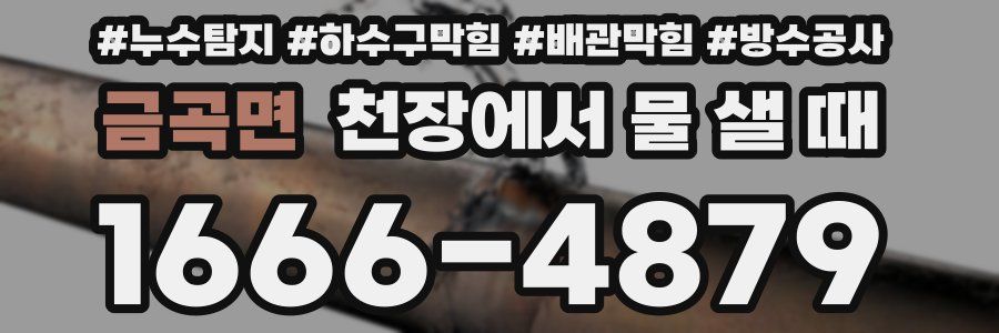 금곡면 천장에서 물 샐 때