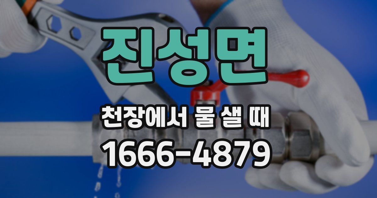 진성면 천장에서 물 샐 때