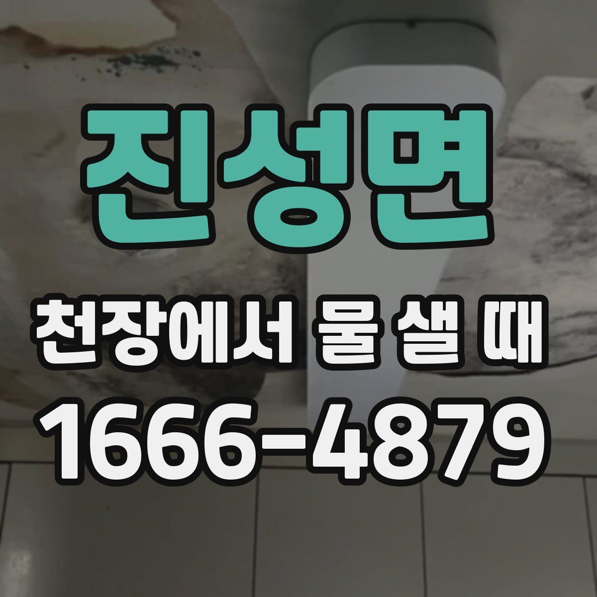 진성면 천장에서 물 샐 때