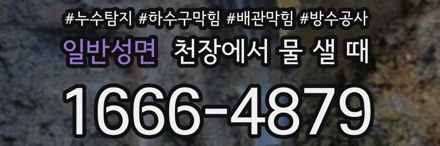 일반성면 천장에서 물 샐 때