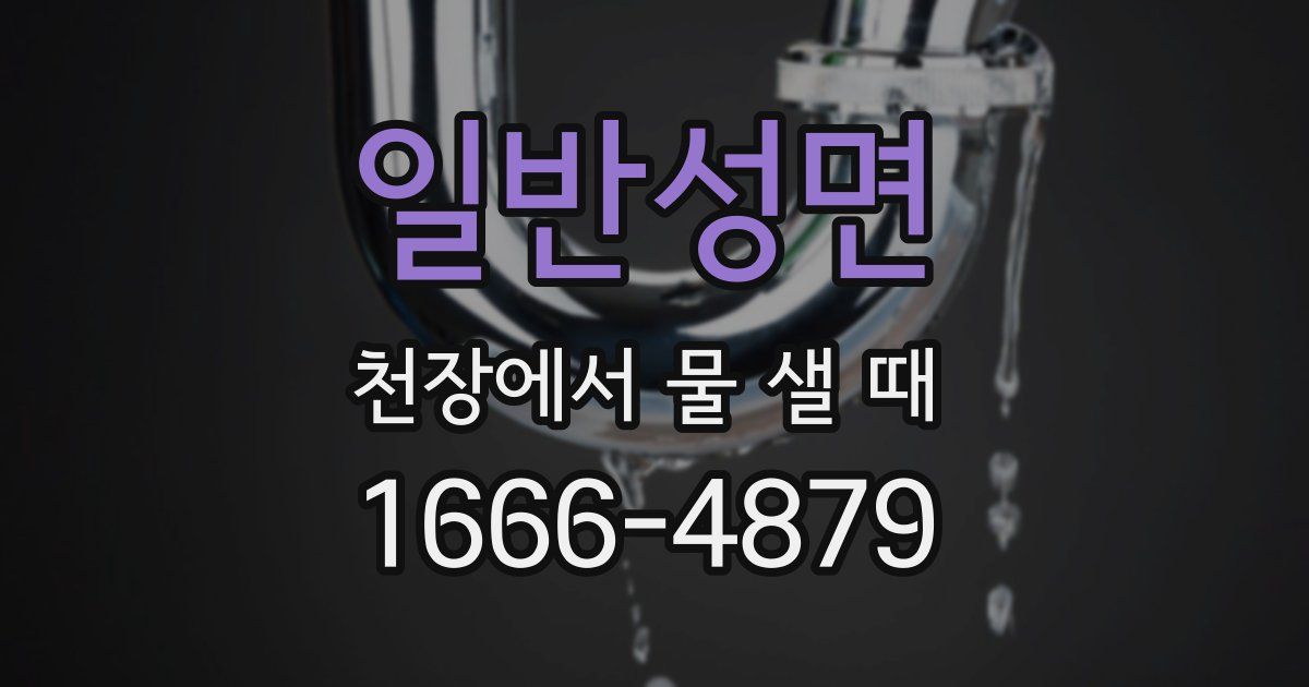 일반성면 천장에서 물 샐 때