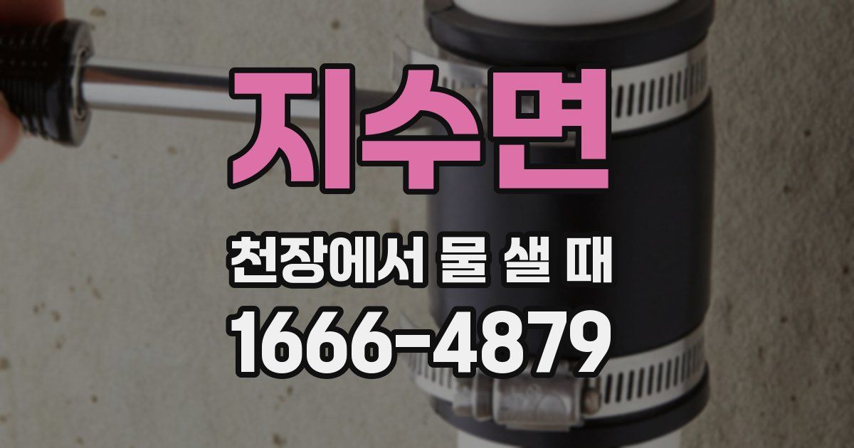 지수면 천장에서 물 샐 때