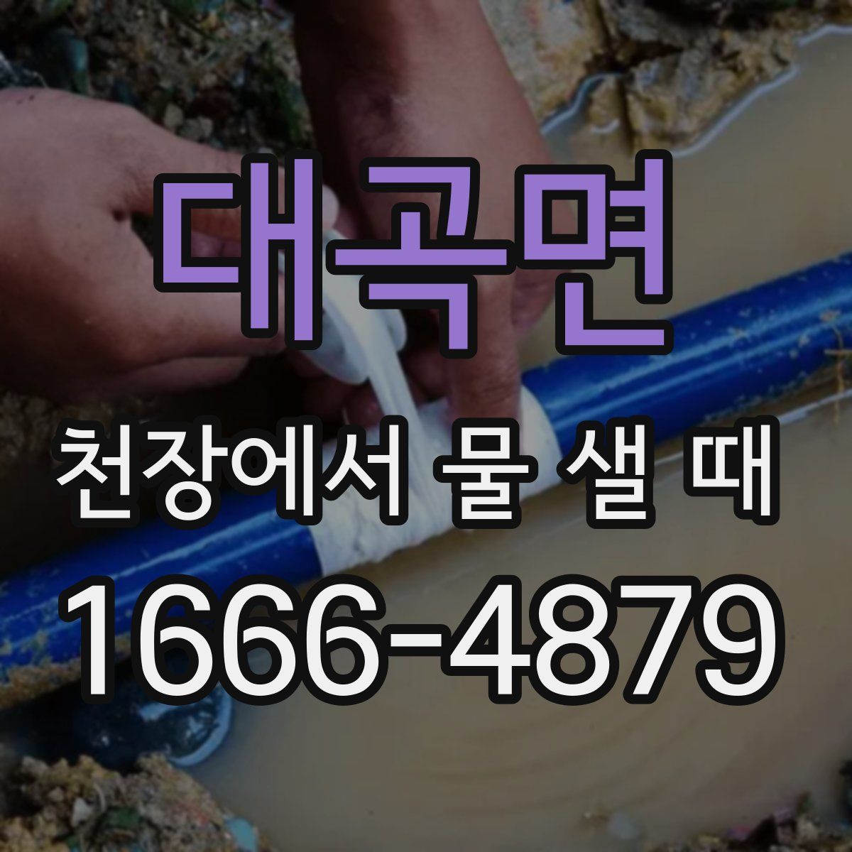 대곡면 천장에서 물 샐 때