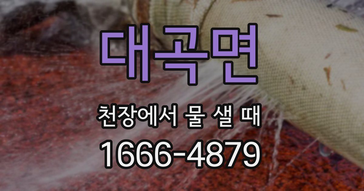 대곡면 천장에서 물 샐 때