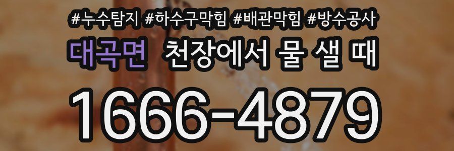 대곡면 천장에서 물 샐 때