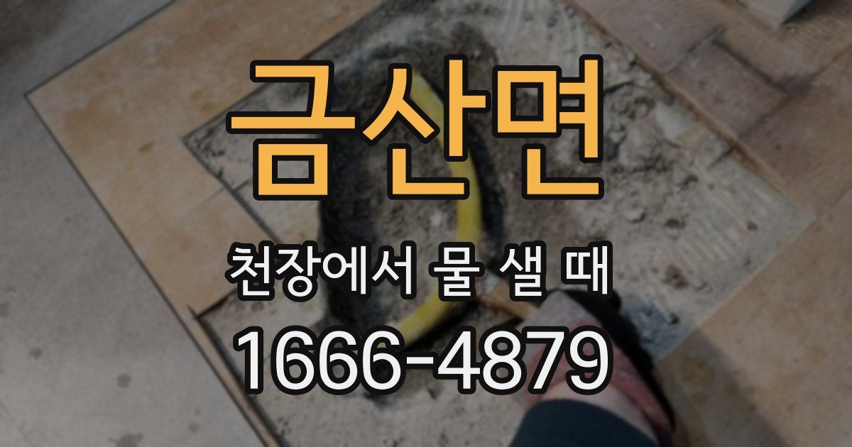 금산면 천장에서 물 샐 때