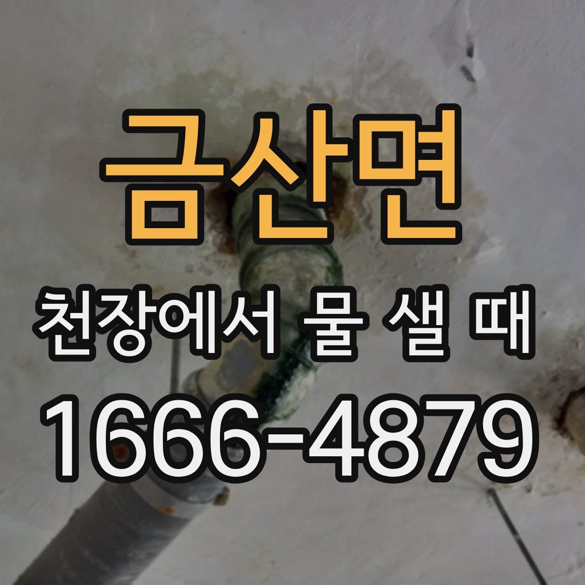 금산면 천장에서 물 샐 때