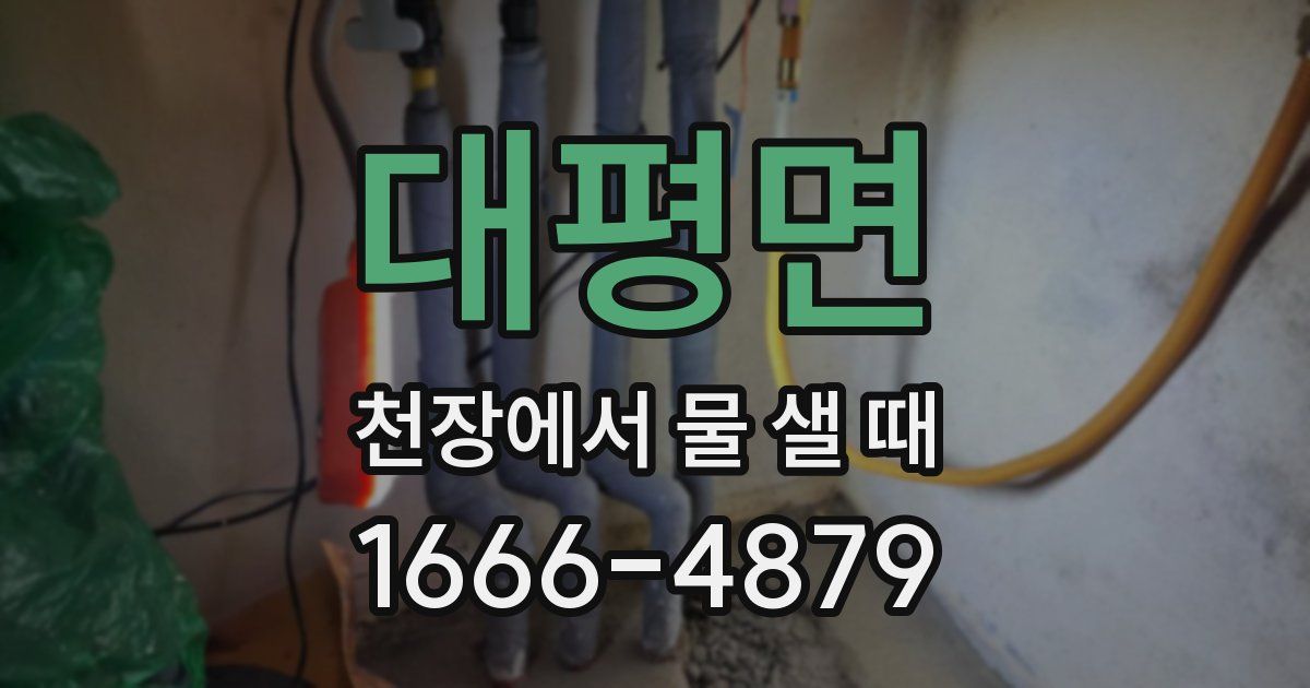 대평면 천장에서 물 샐 때