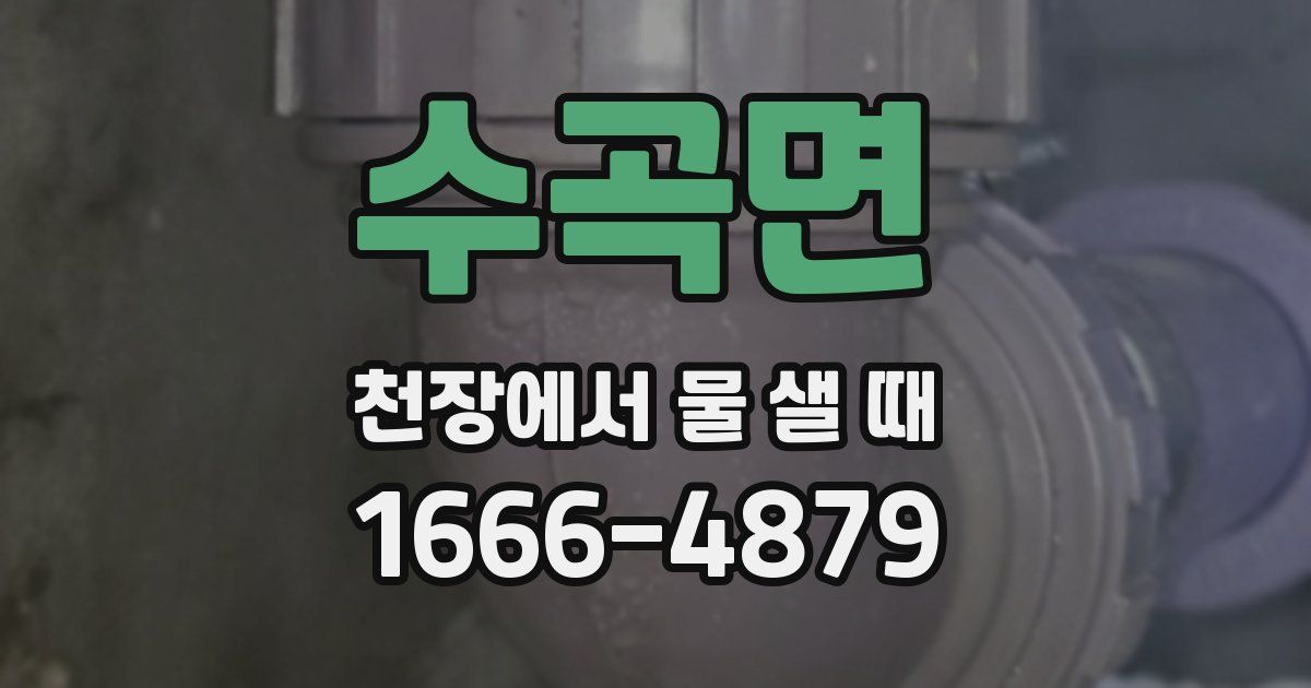 수곡면 천장에서 물 샐 때