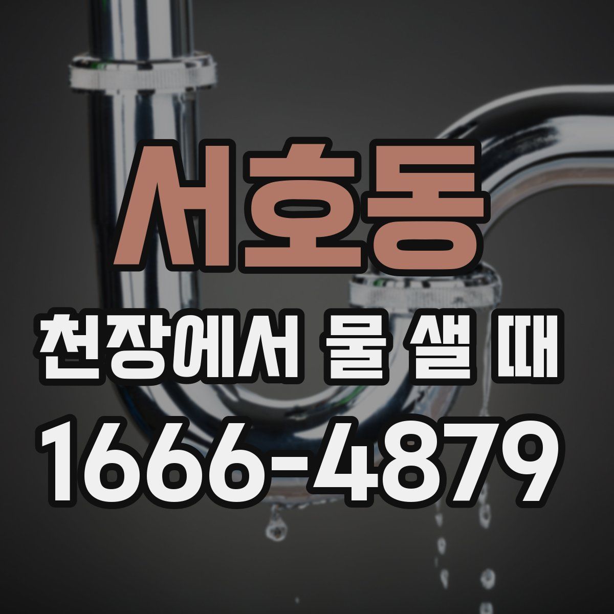 서호동 천장에서 물 샐 때