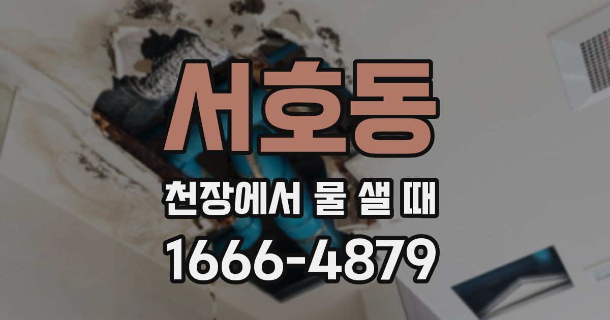 서호동 천장에서 물 샐 때