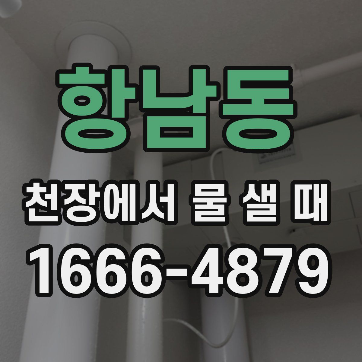 항남동 천장에서 물 샐 때