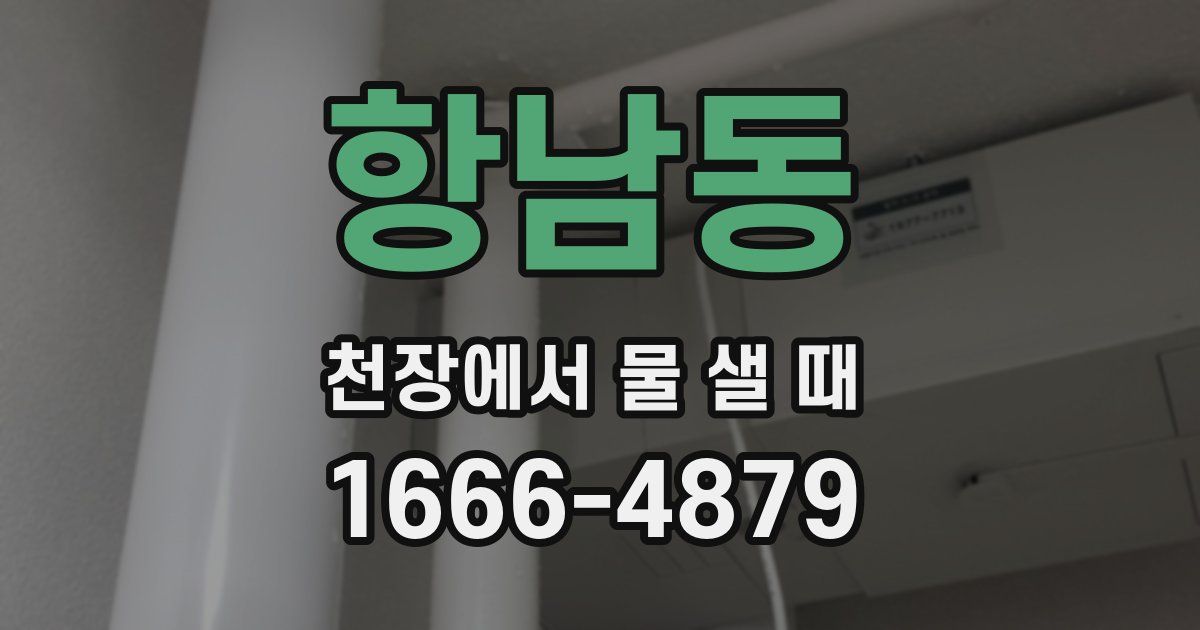 항남동 천장에서 물 샐 때
