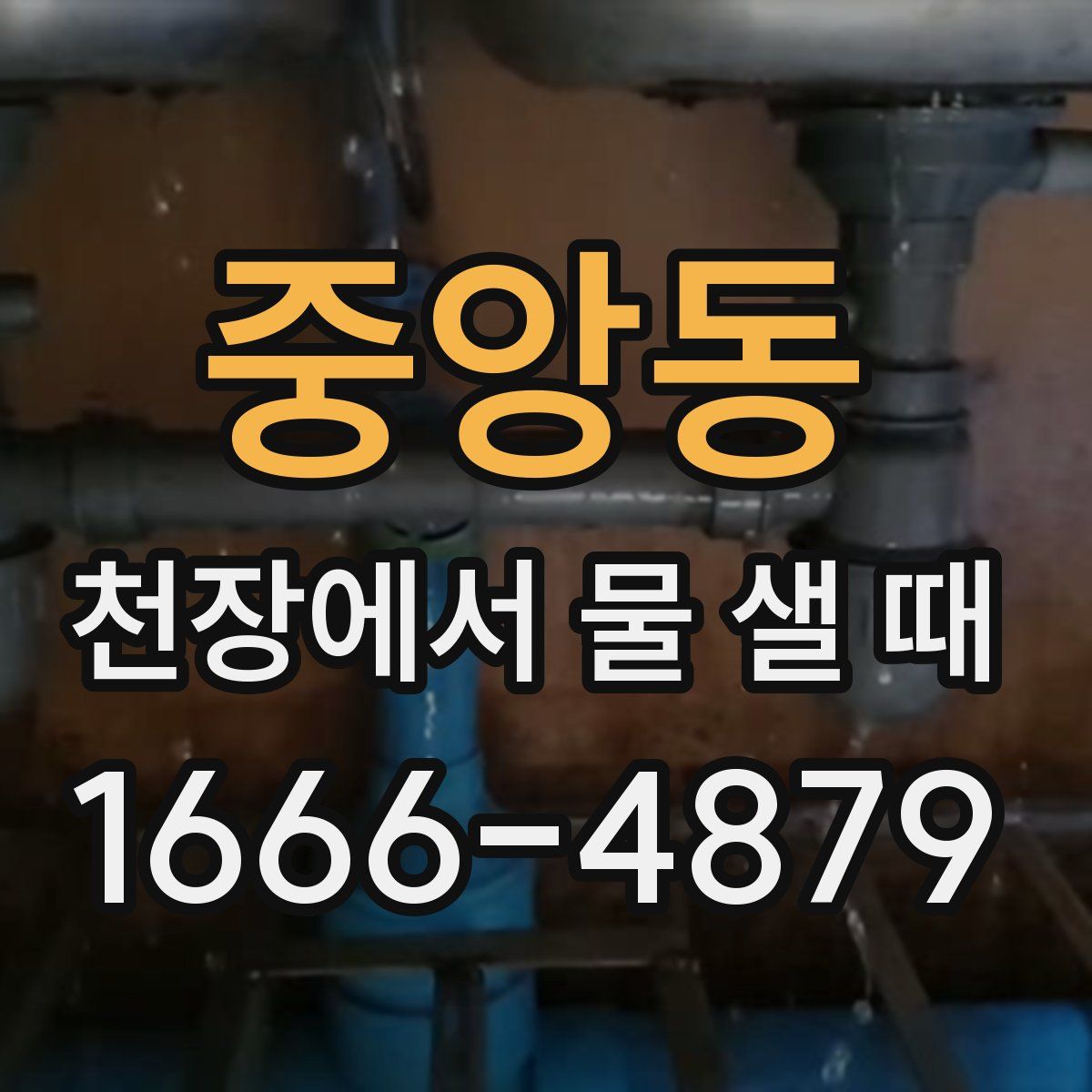 중앙동 천장에서 물 샐 때