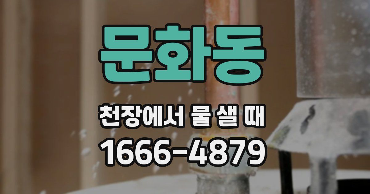문화동 천장에서 물 샐 때
