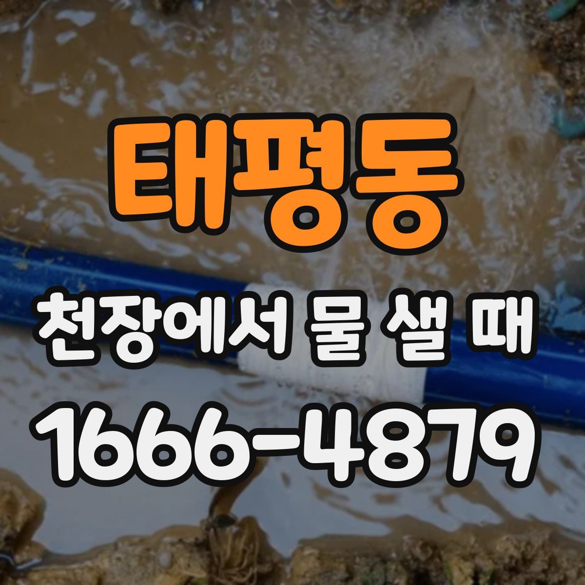 태평동 천장에서 물 샐 때