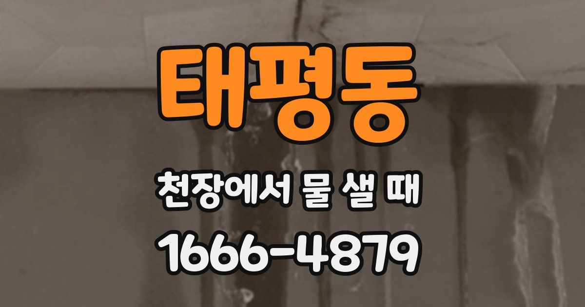 태평동 천장에서 물 샐 때