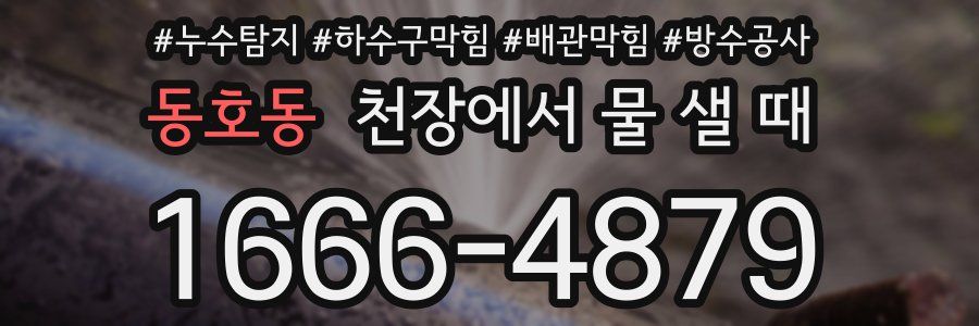 동호동 천장에서 물 샐 때