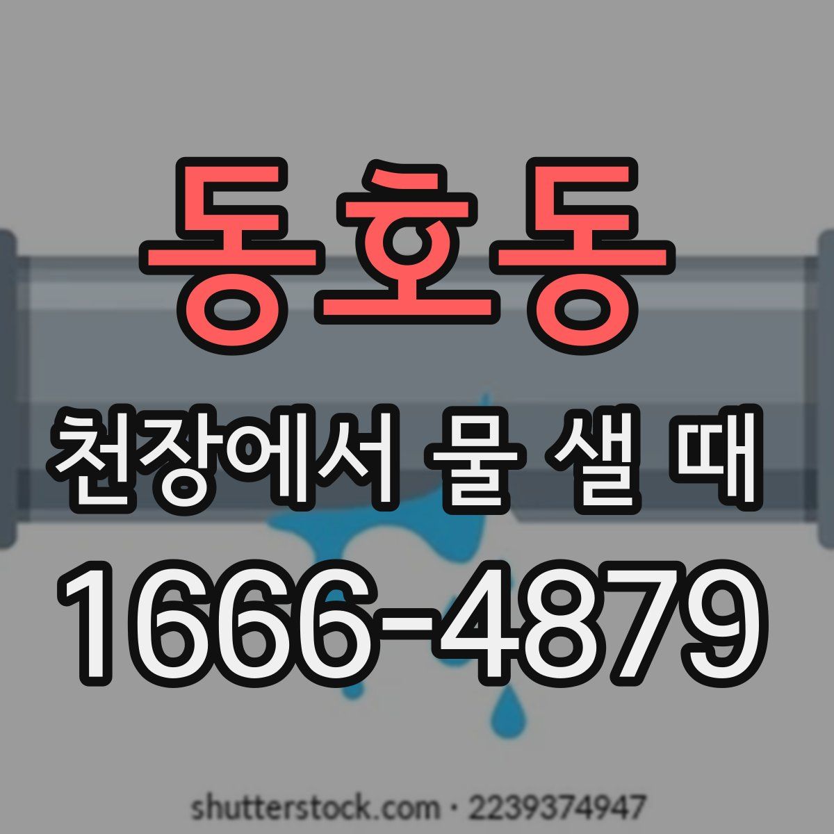 동호동 천장에서 물 샐 때