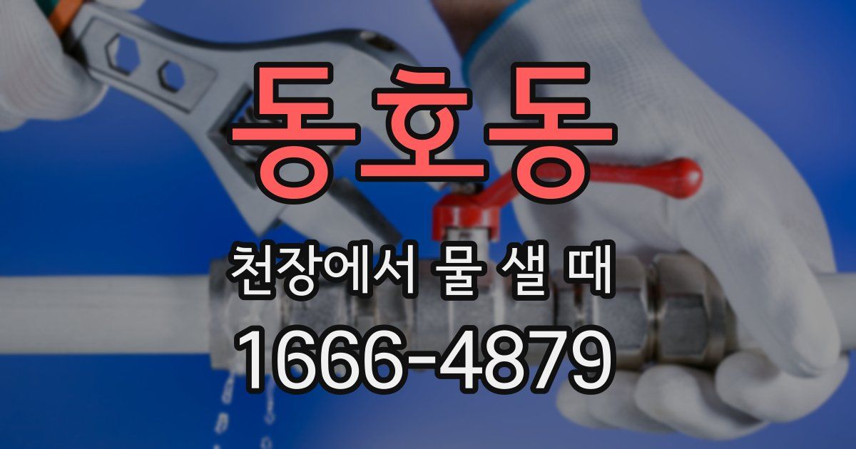 동호동 천장에서 물 샐 때