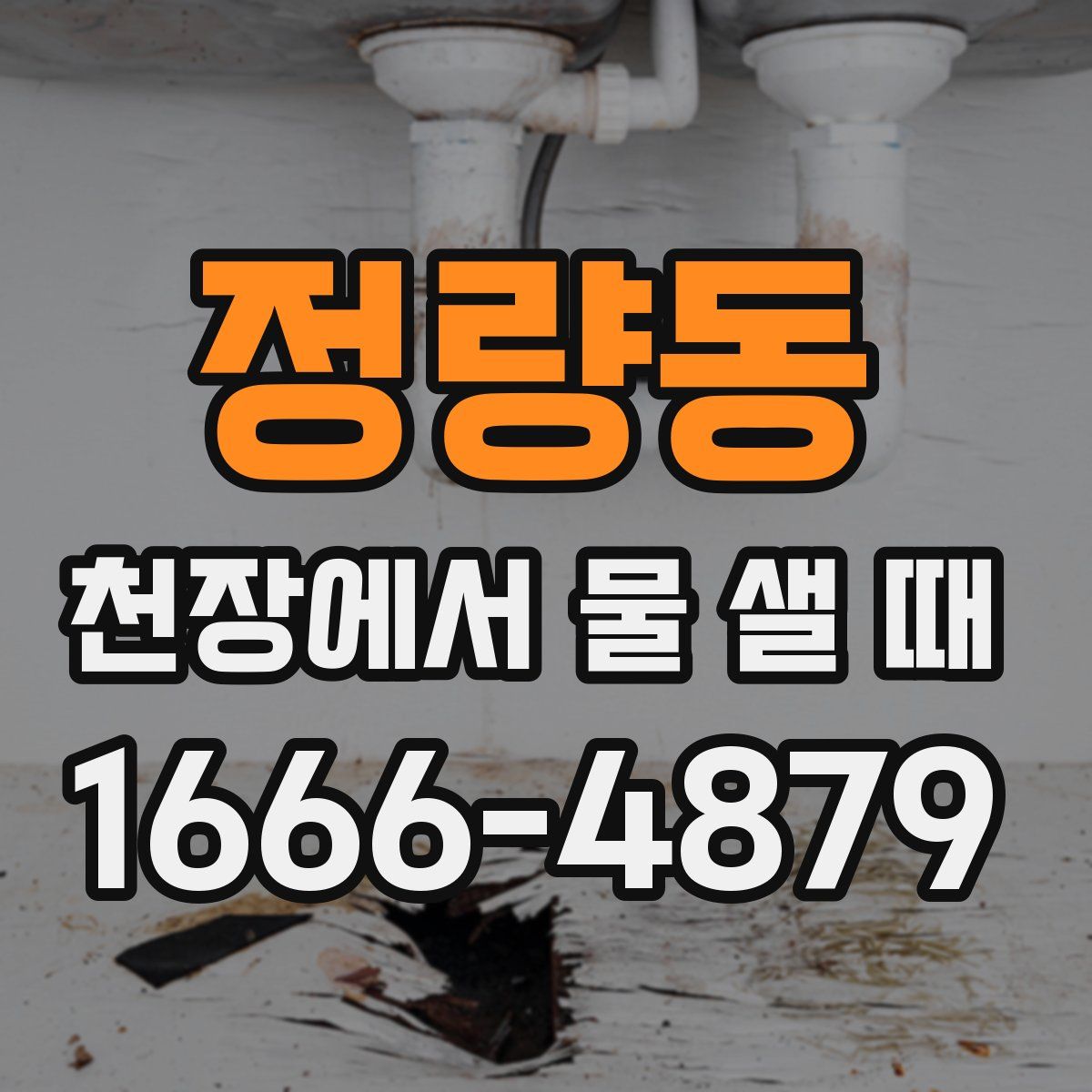 정량동 천장에서 물 샐 때