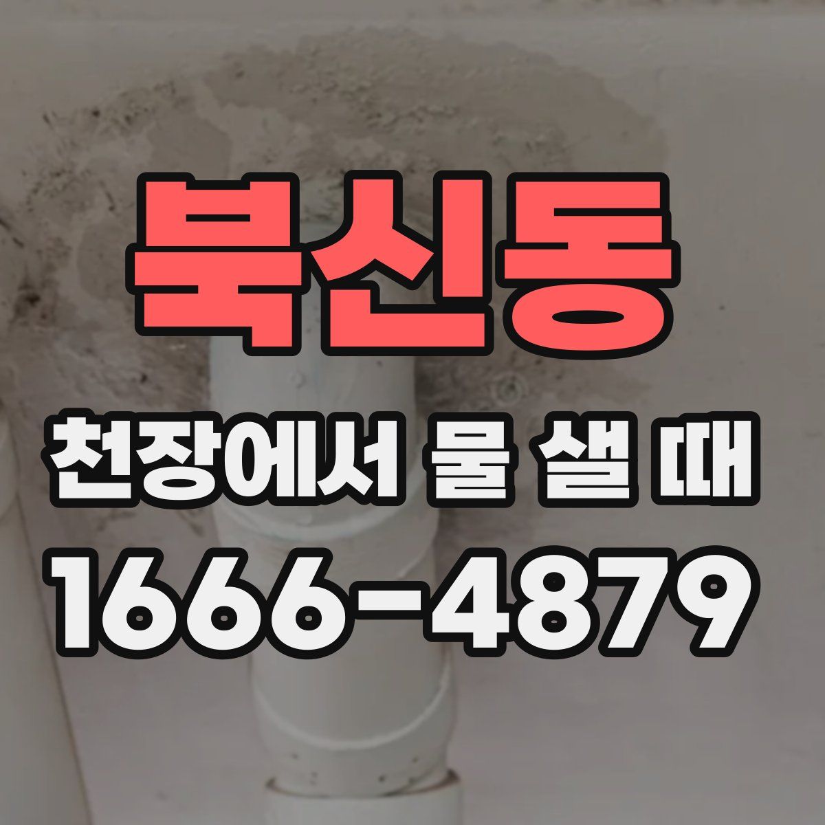 북신동 천장에서 물 샐 때