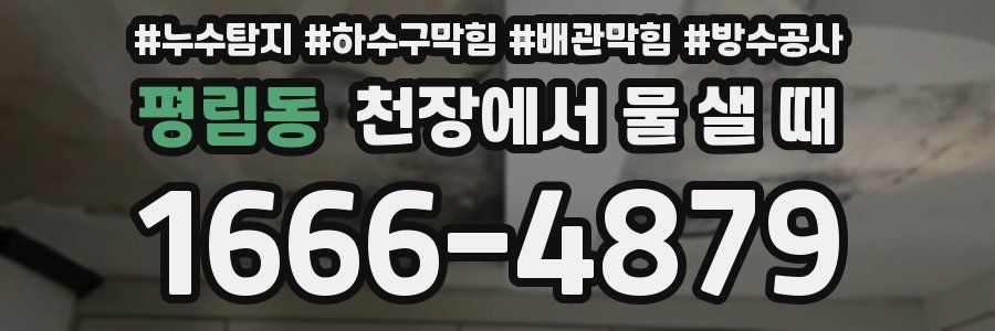 평림동 천장에서 물 샐 때