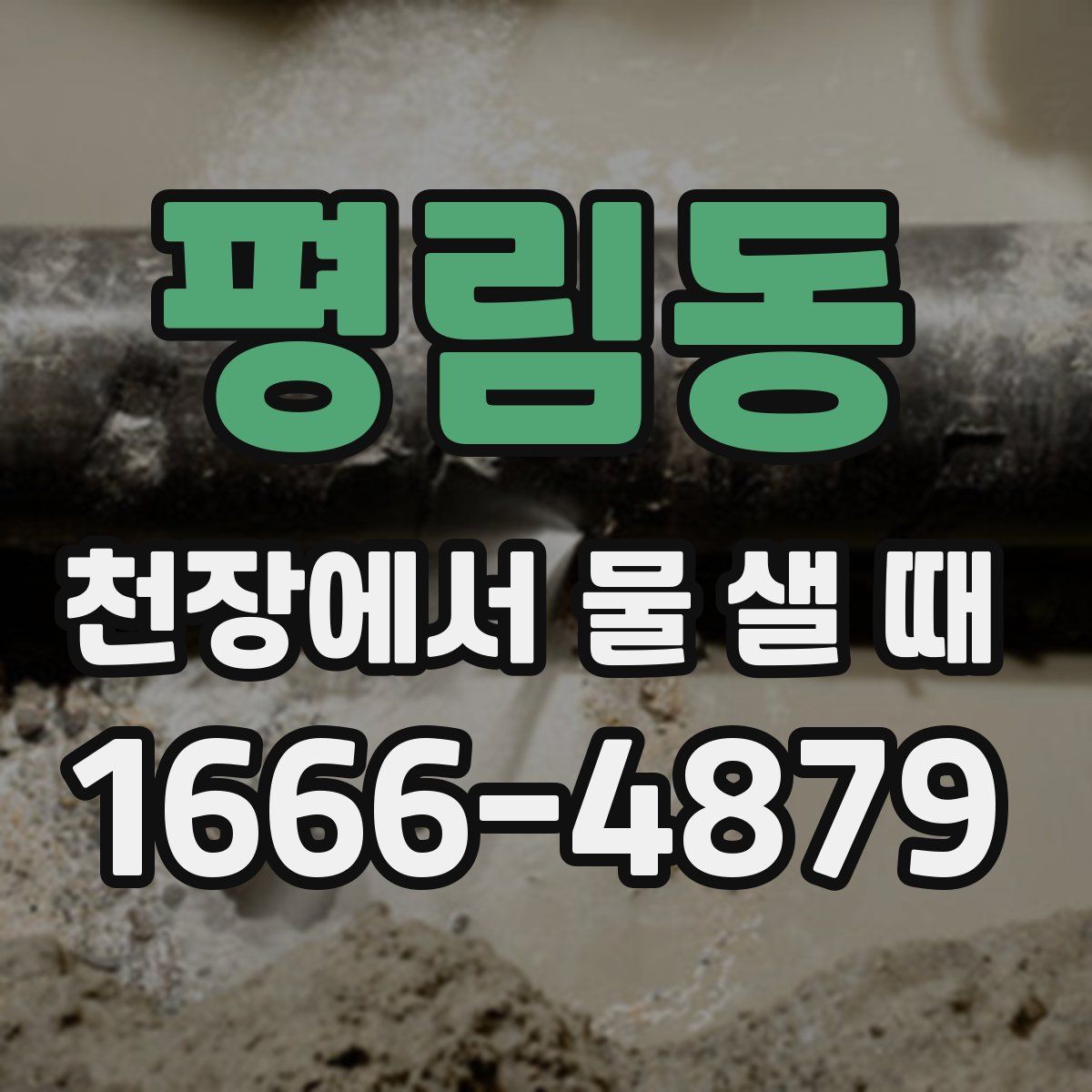 평림동 천장에서 물 샐 때