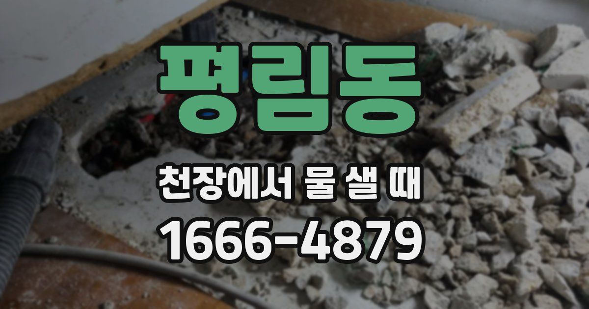 평림동 천장에서 물 샐 때
