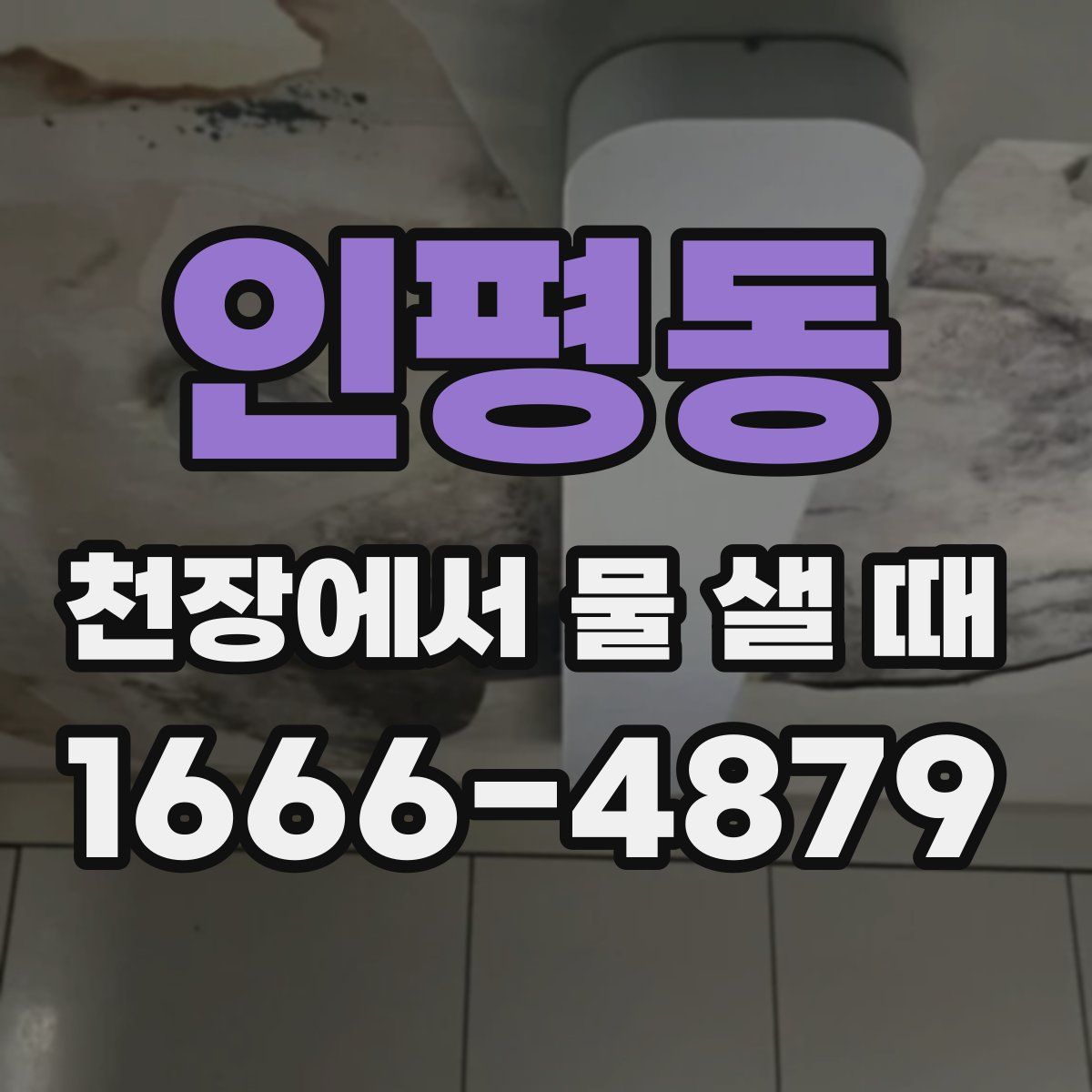 인평동 천장에서 물 샐 때