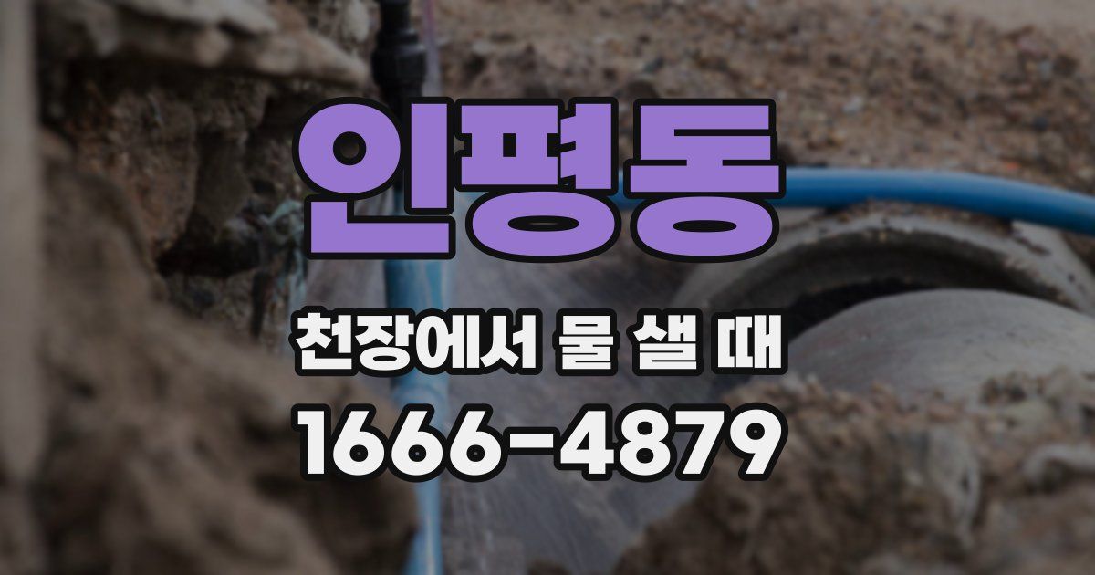 인평동 천장에서 물 샐 때
