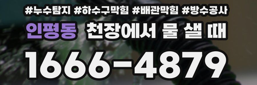 인평동 천장에서 물 샐 때