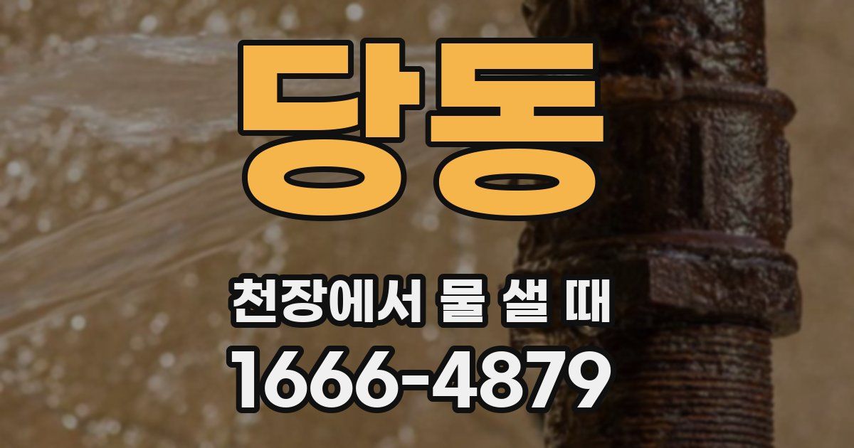 당동 천장에서 물 샐 때