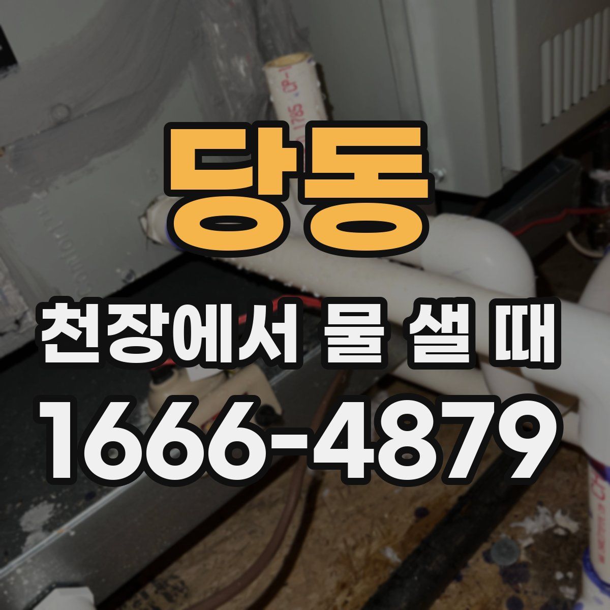 당동 천장에서 물 샐 때
