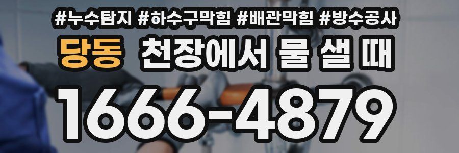 당동 천장에서 물 샐 때