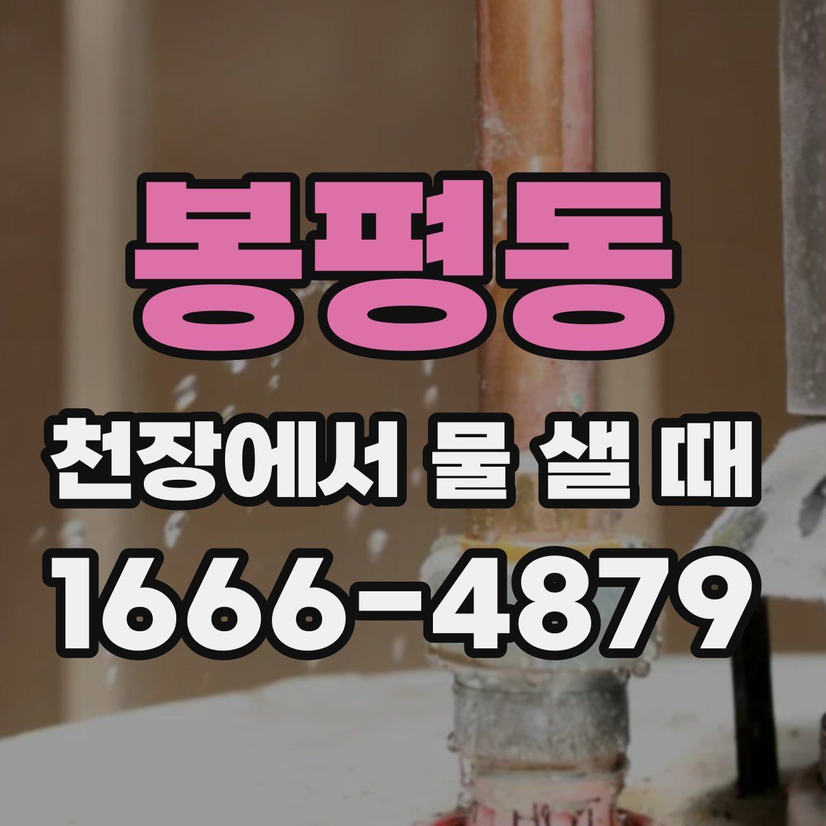 봉평동 천장에서 물 샐 때