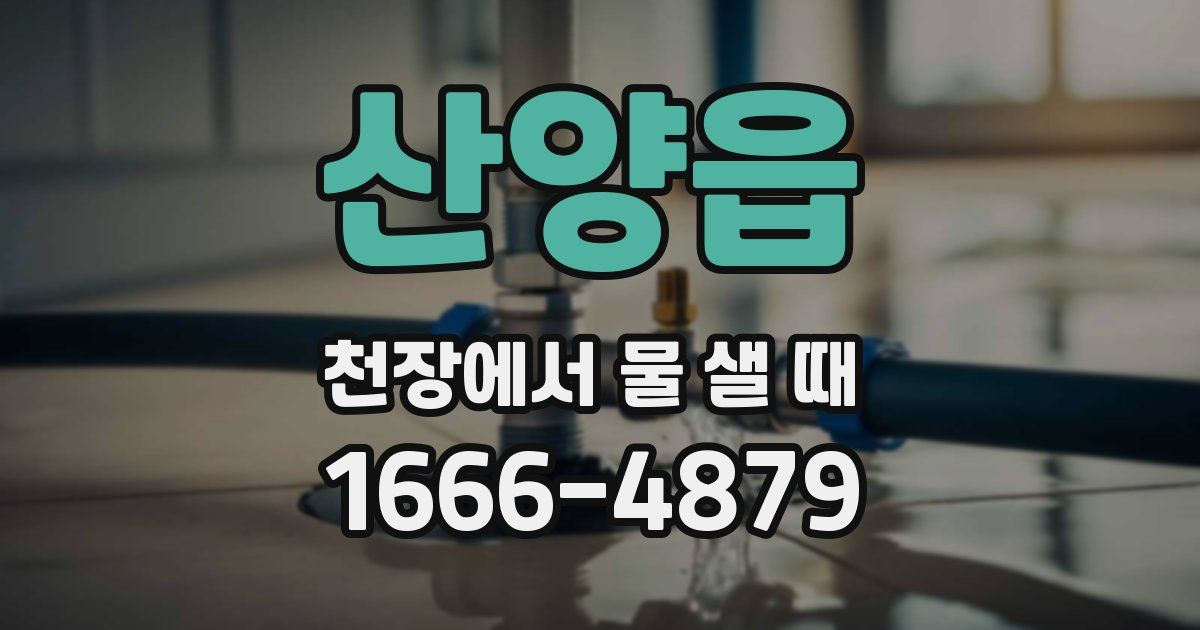 산양읍 천장에서 물 샐 때
