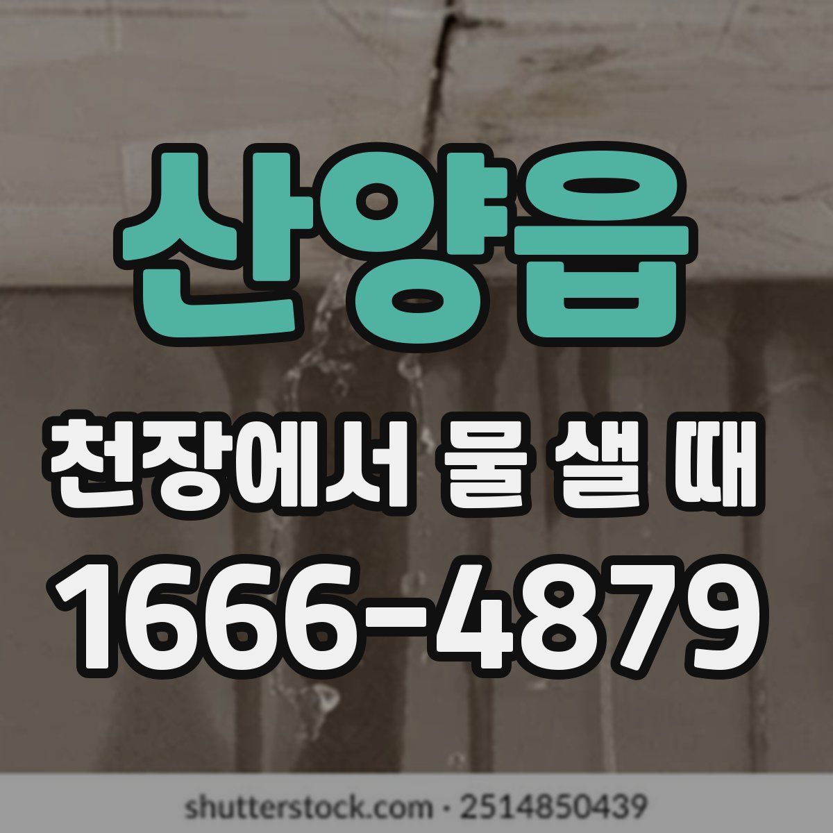 산양읍 천장에서 물 샐 때