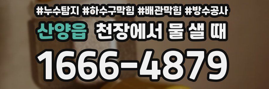 산양읍 천장에서 물 샐 때