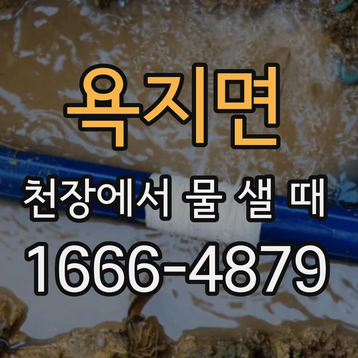 욕지면 천장에서 물 샐 때