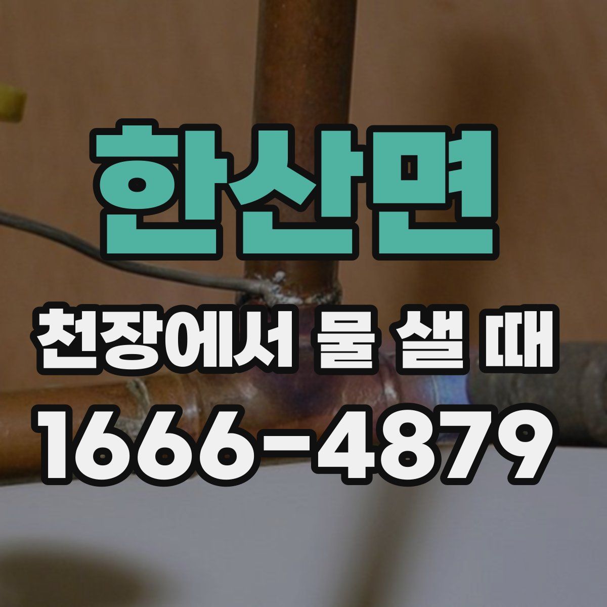 한산면 천장에서 물 샐 때