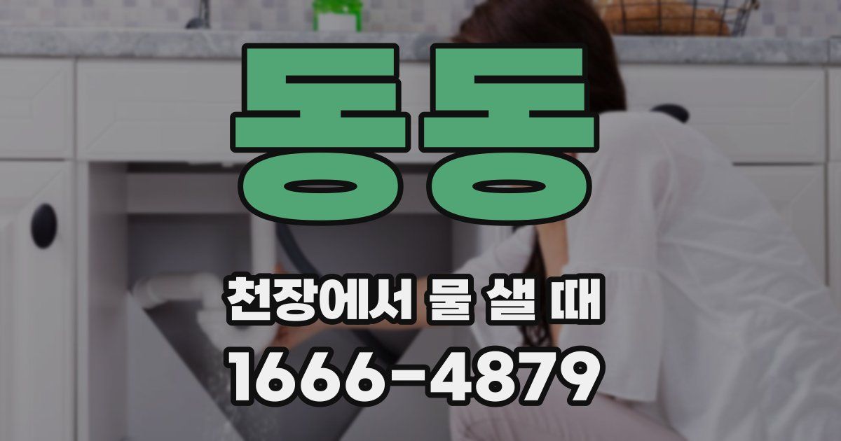 동동 천장에서 물 샐 때