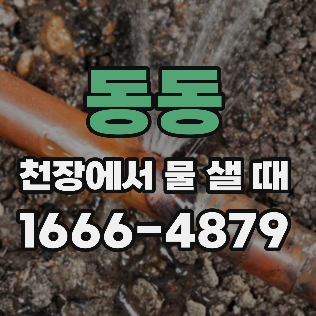 동동 천장에서 물 샐 때