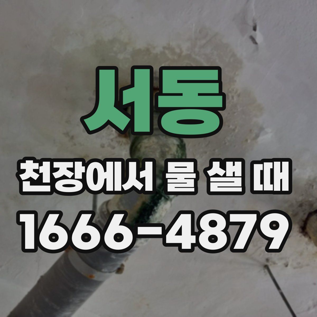 서동 천장에서 물 샐 때