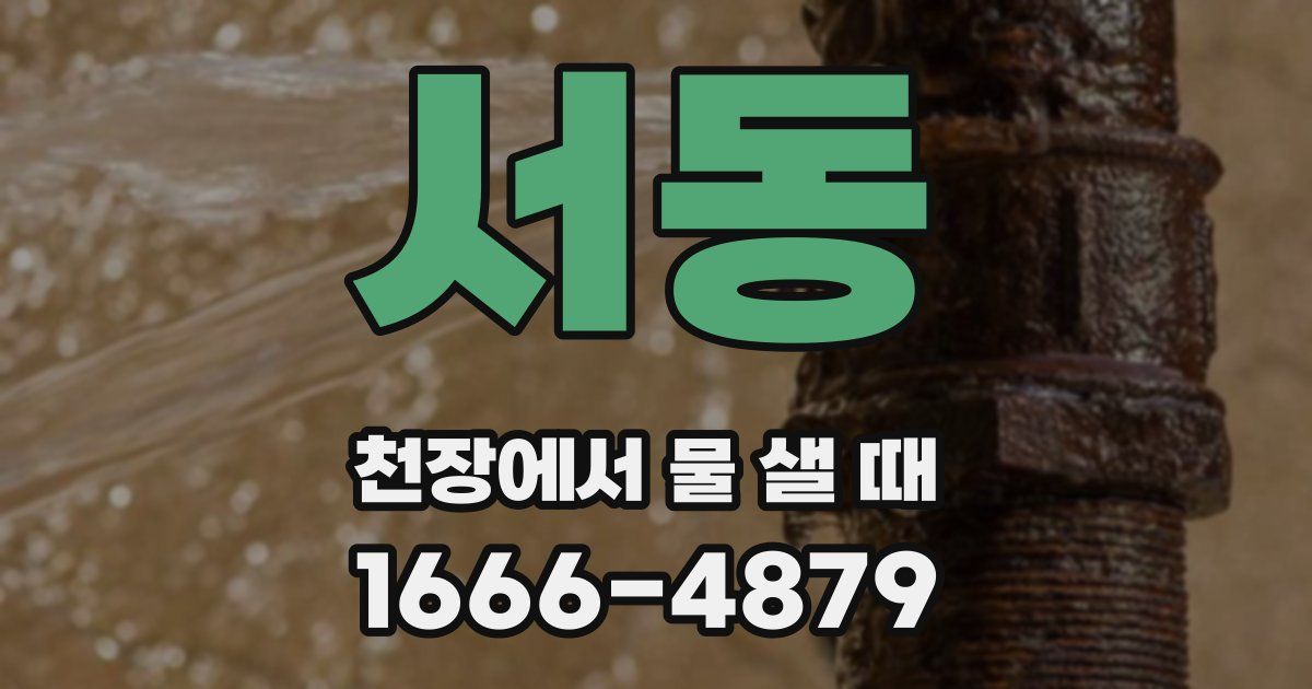 서동 천장에서 물 샐 때