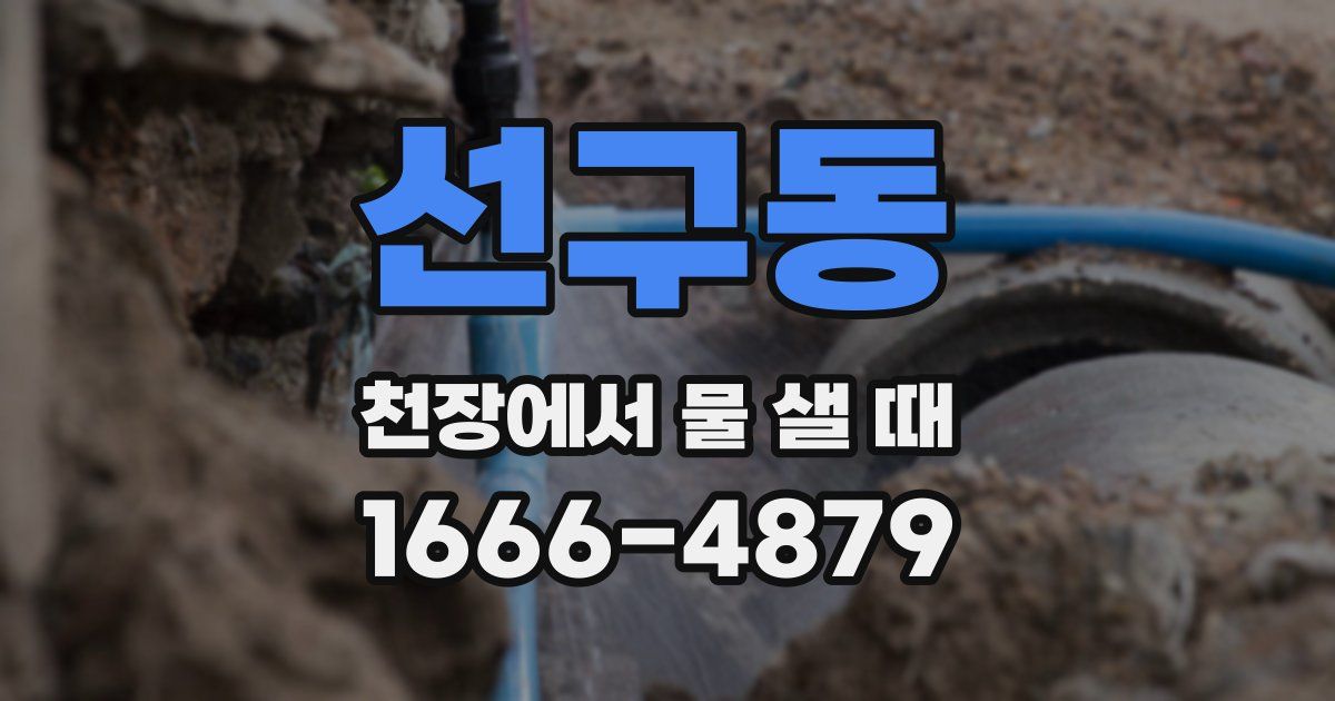 선구동 천장에서 물 샐 때