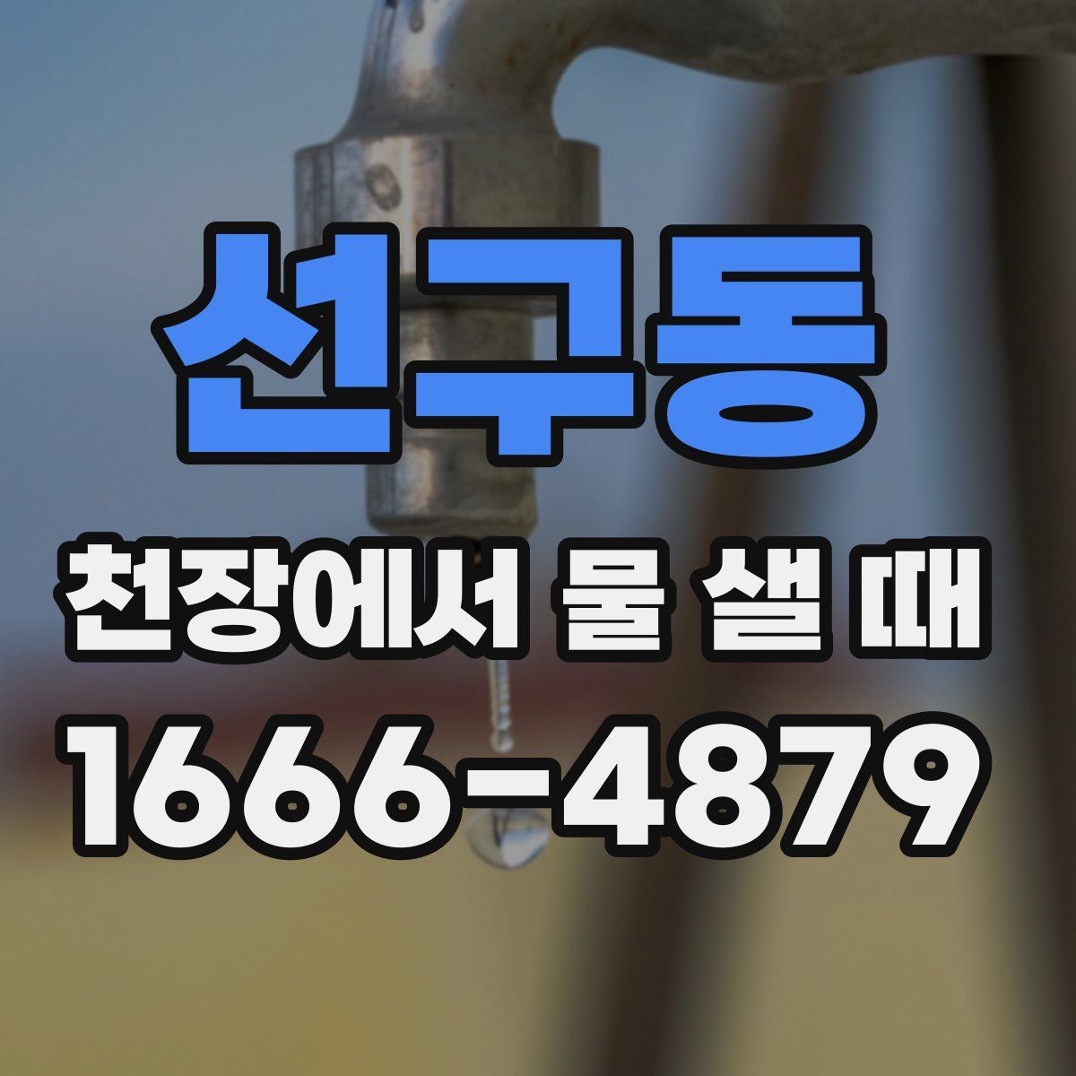 선구동 천장에서 물 샐 때