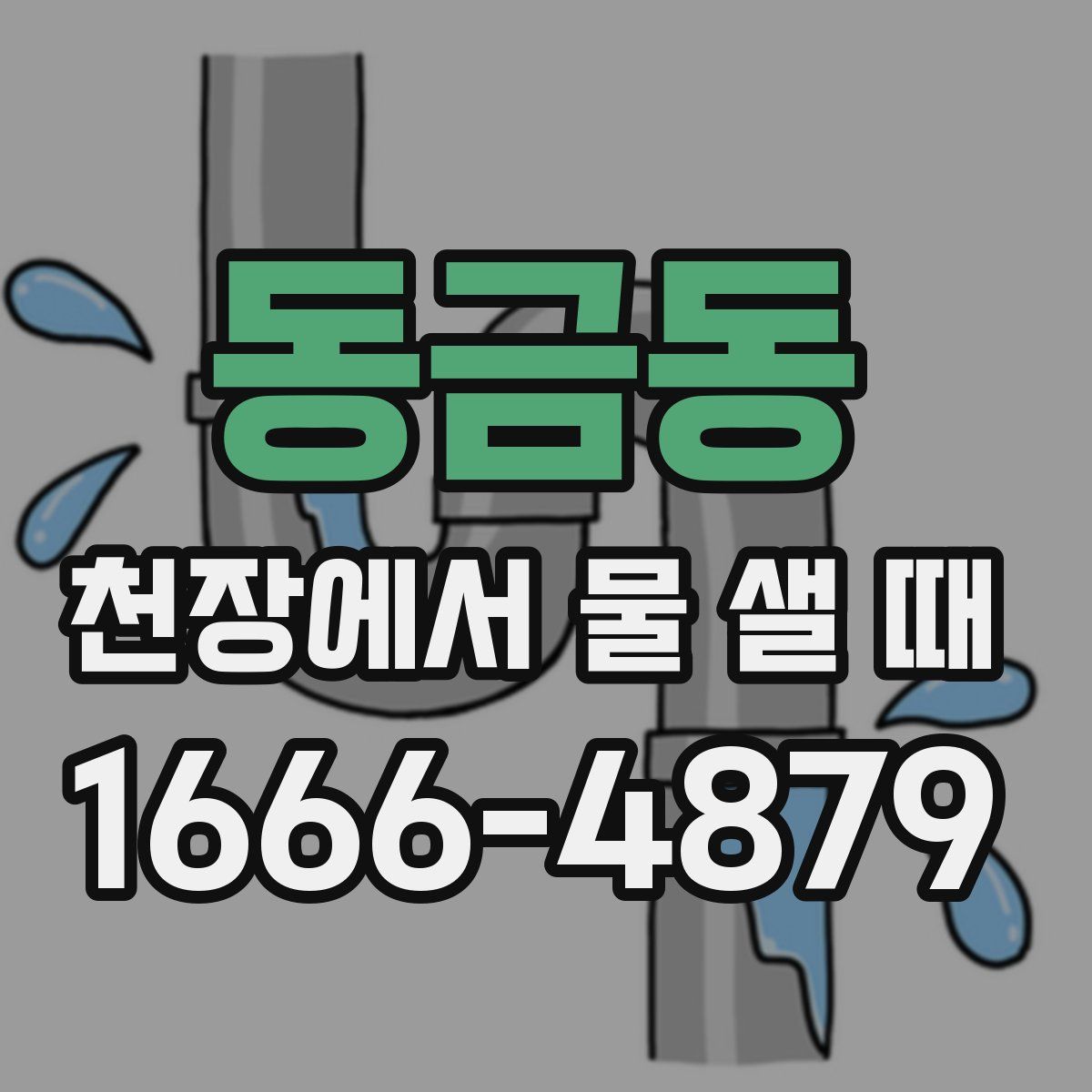 동금동 천장에서 물 샐 때