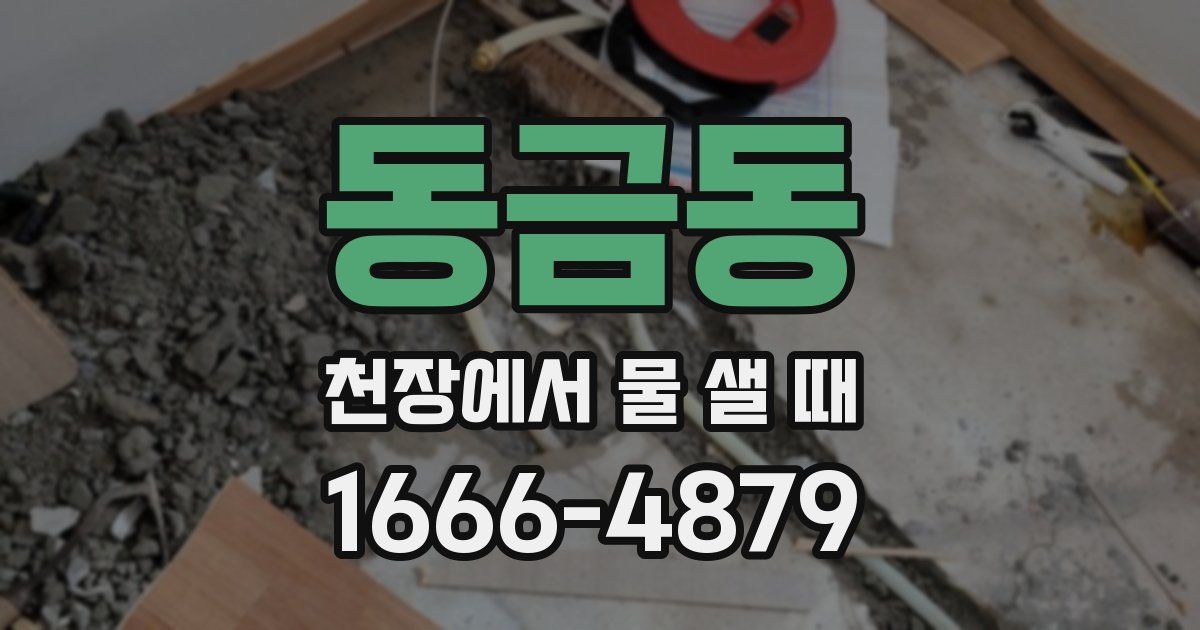 동금동 천장에서 물 샐 때